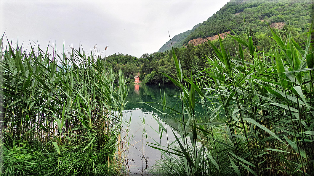 foto Lago di Lases